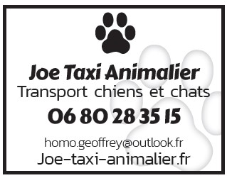 Joe taxi animalier 1021