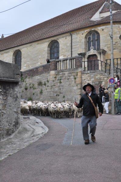Fromages2013-M