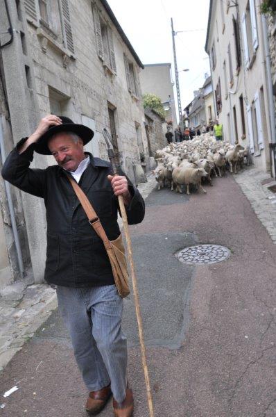 Fromages2013-P