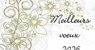 Nos meilleurs vœux pour 2026