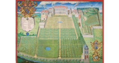Frédéric Scalberge, « Jardin du Roy pour la culture des plantes médicinales à Paris », 1636, gouache sur vélin, 55x72 cm, OA 912 MNHN