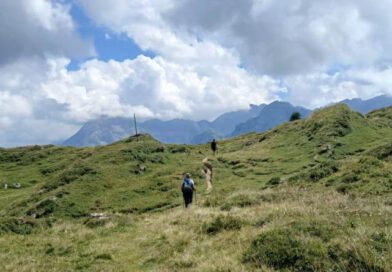 Foi, grâce et nature